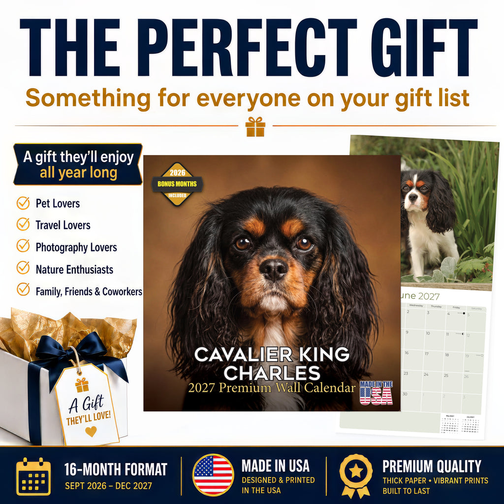 Cavalier King Charles Spaniel Wall Calendar 2027 - 12" x 12" Monthly Gentle Royal Toy Spaniel Breed Calendar