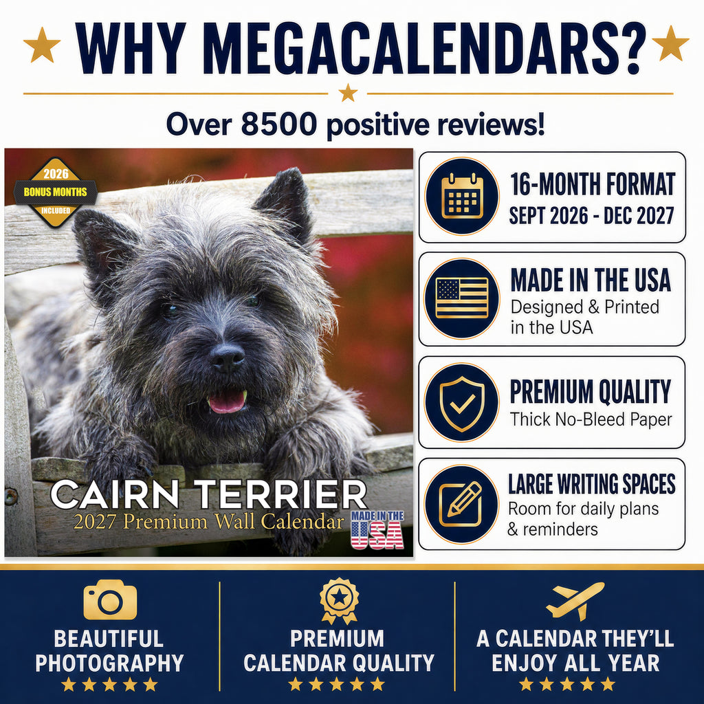 Cairn Terrier Wall Calendar 2027 - 12" x 12" Monthly Hardy Alert Scottish Terrier Breed Calendar