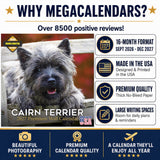 Cairn Terrier Wall Calendar 2027 - 12" x 12" Monthly Hardy Alert Scottish Terrier Breed Calendar
