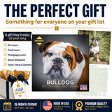 Bulldog Wall Calendar 2027 - 12" x 12" Monthly Courageous Calm English Bulldog Calendar