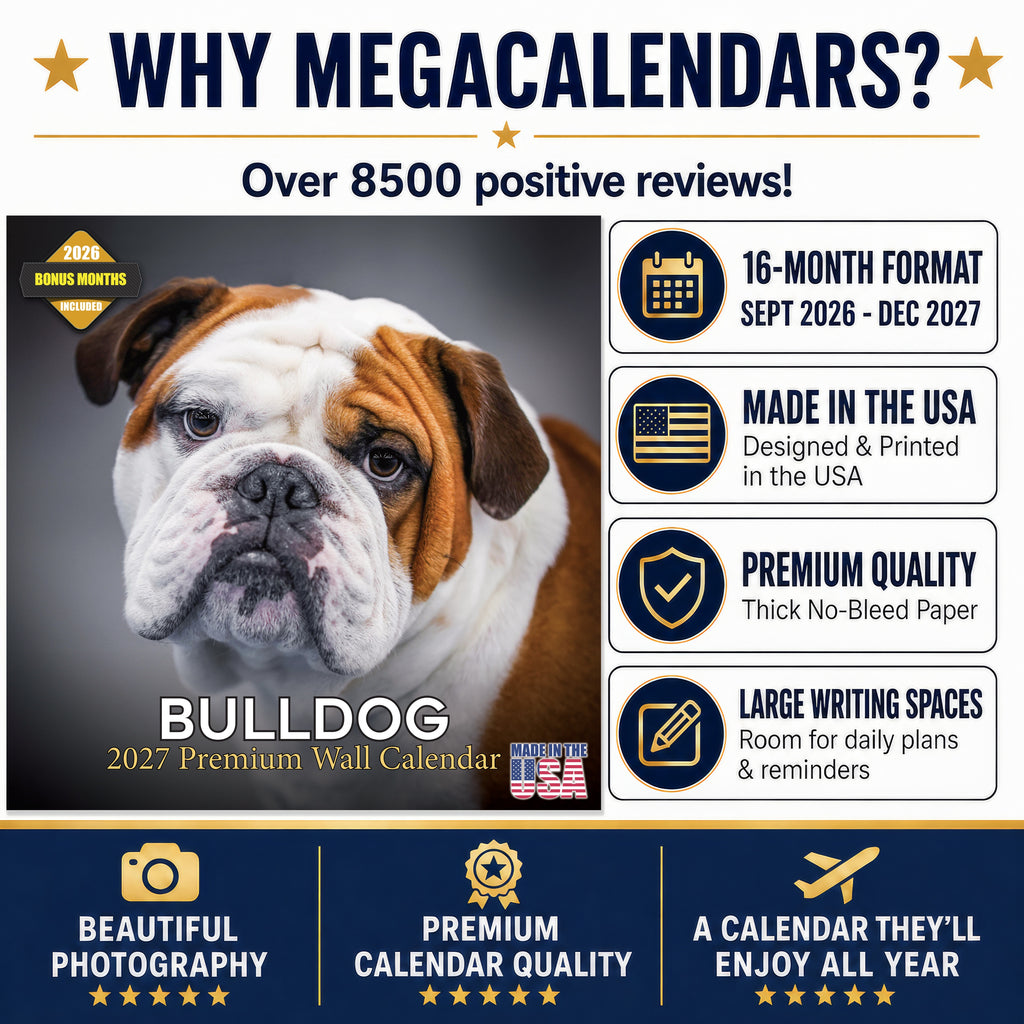 Bulldog Wall Calendar 2027 - 12" x 12" Monthly Courageous Calm English Bulldog Calendar
