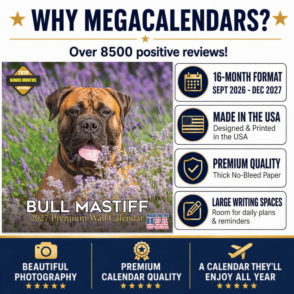 Bullmastiff Wall Calendar 2027 - 12" x 12" Monthly Brave Affectionate Giant Guard Dog Calendar