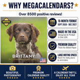 Brittany Wall Calendar 2027 - 12" x 12" Monthly Quick Eager Bird Hunting Dog Breed Calendar