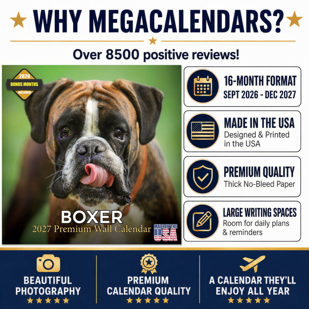 Boxer Wall Calendar 2027 - 12" x 12" Monthly Playful Courageous Athlete Dog Breed Calendar