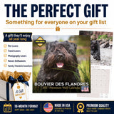 Bouvier de Flandres Wall Calendar 2027 - 12" x 12" Monthly Powerful Belgian Herding Dog Breed Calendar