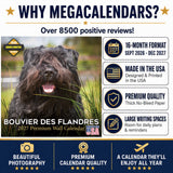 Bouvier de Flandres Wall Calendar 2027 - 12" x 12" Monthly Powerful Belgian Herding Dog Breed Calendar
