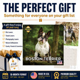 Boston Terrier Wall Calendar 2027 - 12" x 12" Monthly Lively Amusing American Gentleman Calendar