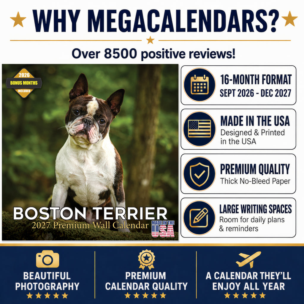 Boston Terrier Wall Calendar 2027 - 12" x 12" Monthly Lively Amusing American Gentleman Calendar