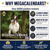 Boston Terrier Wall Calendar 2027 - 12" x 12" Monthly Lively Amusing American Gentleman Calendar