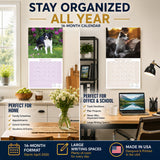 Border Collie Wall Calendar 2027 - 12" x 12" Monthly Brilliant Agile Herding Dog Breed Calendar
