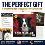 Border Collie Wall Calendar 2027 - 12" x 12" Monthly Brilliant Agile Herding Dog Breed Calendar