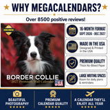 Border Collie Wall Calendar 2027 - 12" x 12" Monthly Brilliant Agile Herding Dog Breed Calendar