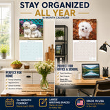 Bichon Frise Wall Calendar 2027 - 12" x 12" Monthly Cheerful Fluffy Toy Dog Breed Calendar