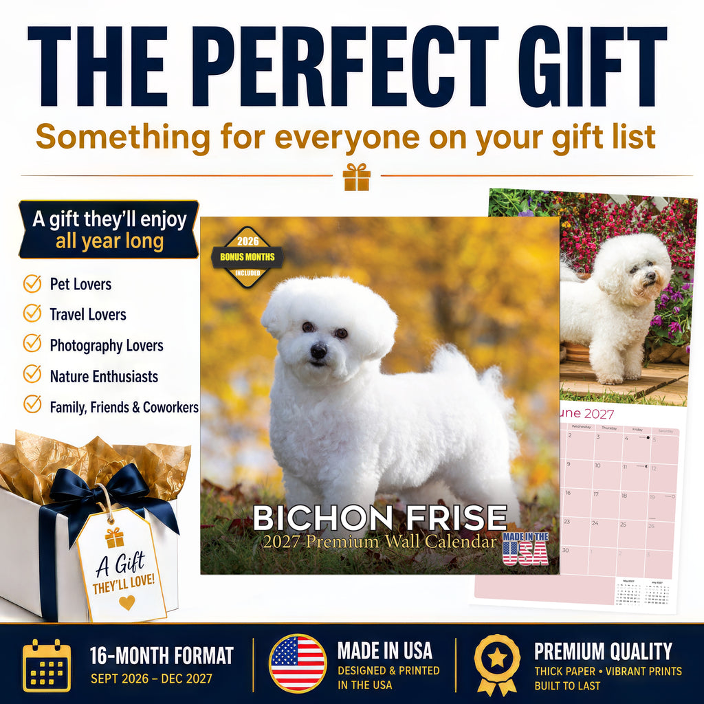Bichon Frise Wall Calendar 2027 - 12" x 12" Monthly Cheerful Fluffy Toy Dog Breed Calendar