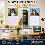 Bernese Mountain Dog Wall Calendar 2027 - 12" x 12" Monthly Gentle Working Alpine Giant Breed Calendar