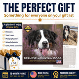 Bernese Mountain Dog Wall Calendar 2027 - 12" x 12" Monthly Gentle Working Alpine Giant Breed Calendar