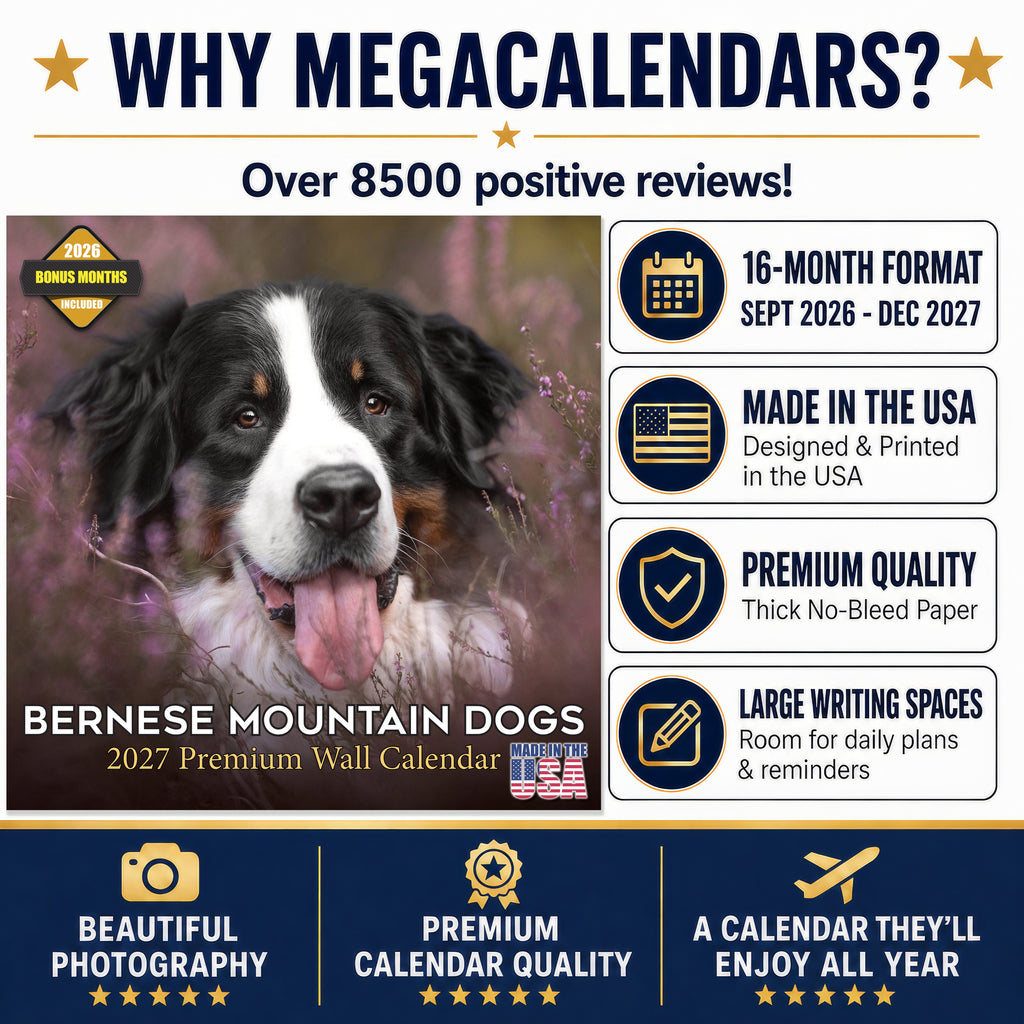 Bernese Mountain Dog Wall Calendar 2027 - 12" x 12" Monthly Gentle Working Alpine Giant Breed Calendar