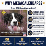 Bernese Mountain Dog Wall Calendar 2027 - 12" x 12" Monthly Gentle Working Alpine Giant Breed Calendar
