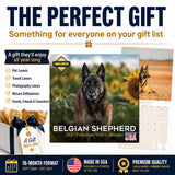 Belgian Shepherd Dog Wall Calendar 2027 - 12" x 12" Monthly Noble & Versatile Herding Working Dog Calendar