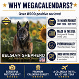 Belgian Shepherd Dog Wall Calendar 2027 - 12" x 12" Monthly Noble & Versatile Herding Working Dog Calendar