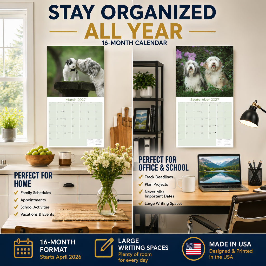 Bearded Collie Wall Calendar 2027 - 12" x 12" Monthly Bouncy Shaggy Herding Dog Calendar