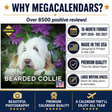 Bearded Collie Wall Calendar 2027 - 12" x 12" Monthly Bouncy Shaggy Herding Dog Calendar
