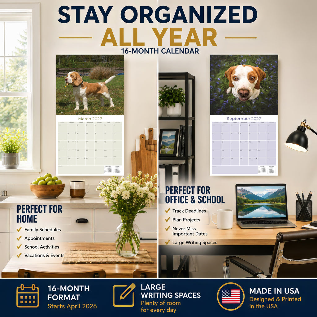Beagle Wall Calendar 2027 - 12" x 12" Monthly Merry & Curious Scent Hound Dog Calendar