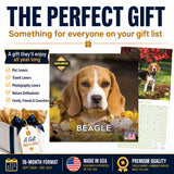 Beagle Wall Calendar 2027 - 12" x 12" Monthly Merry & Curious Scent Hound Dog Calendar