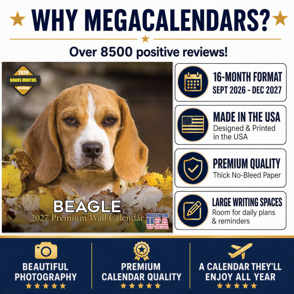 Beagle Wall Calendar 2027 - 12" x 12" Monthly Merry & Curious Scent Hound Dog Calendar