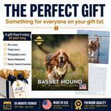 Basset Hound Wall Calendar 2027 - 12" x 12" Monthly Gentle & Long-Eared Scent Hound Calendar