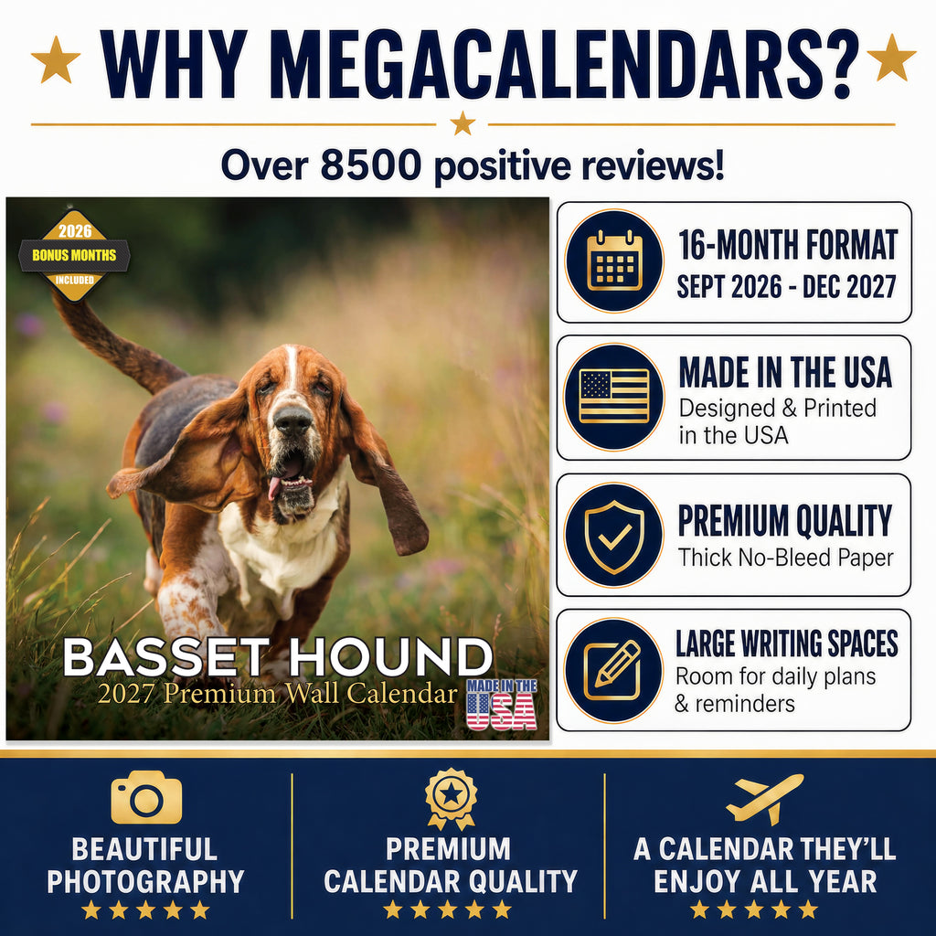 Basset Hound Wall Calendar 2027 - 12" x 12" Monthly Gentle & Long-Eared Scent Hound Calendar