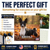 Basenji Wall Calendar 2027 - 12" x 12" Monthly Independent & Alert Barkless Hound Dog Calendar