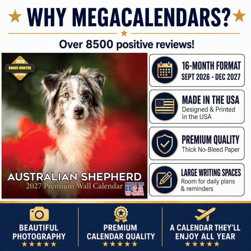 Australian Shepherd Wall Calendar 2027 - 12" x 12" Monthly Intelligent & Agile Herding Dog Calendar