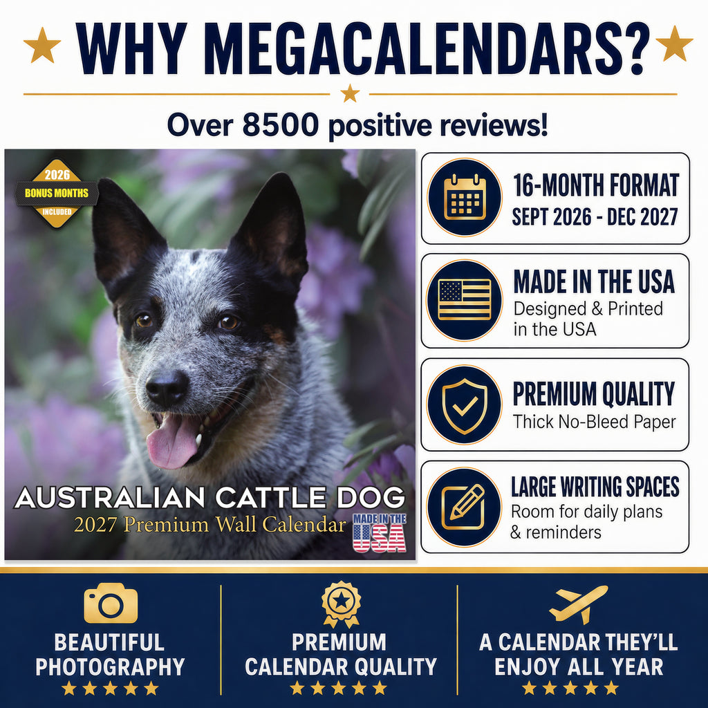 Australian Cattle Dog Wall Calendar 2027 - 12" x 12" 16-Month Intelligent and Resilient Dog Calendar