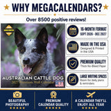 Australian Cattle Dog Wall Calendar 2027 - 12" x 12" 16-Month Intelligent and Resilient Dog Calendar