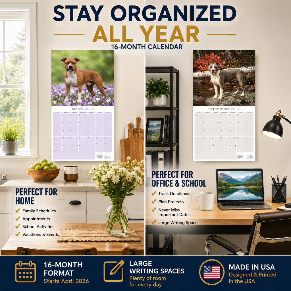 American Staffordshire Terrier Wall Calendar 2027 - 12" x 12" Monthly Strong & Confident AmStaff Breed Calendar