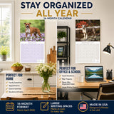American Staffordshire Terrier Wall Calendar 2027 - 12" x 12" Monthly Strong & Confident AmStaff Breed Calendar