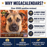 American Staffordshire Terrier Wall Calendar 2027 - 12" x 12" Monthly Strong & Confident AmStaff Breed Calendar