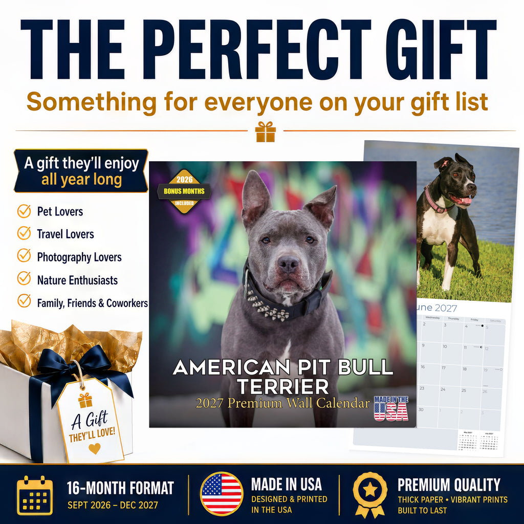 American Pit Bull Terrier Wall Calendar 2027 - 12" x 12" Monthly Athletic & Devoted Pitbull Breed Calendar
