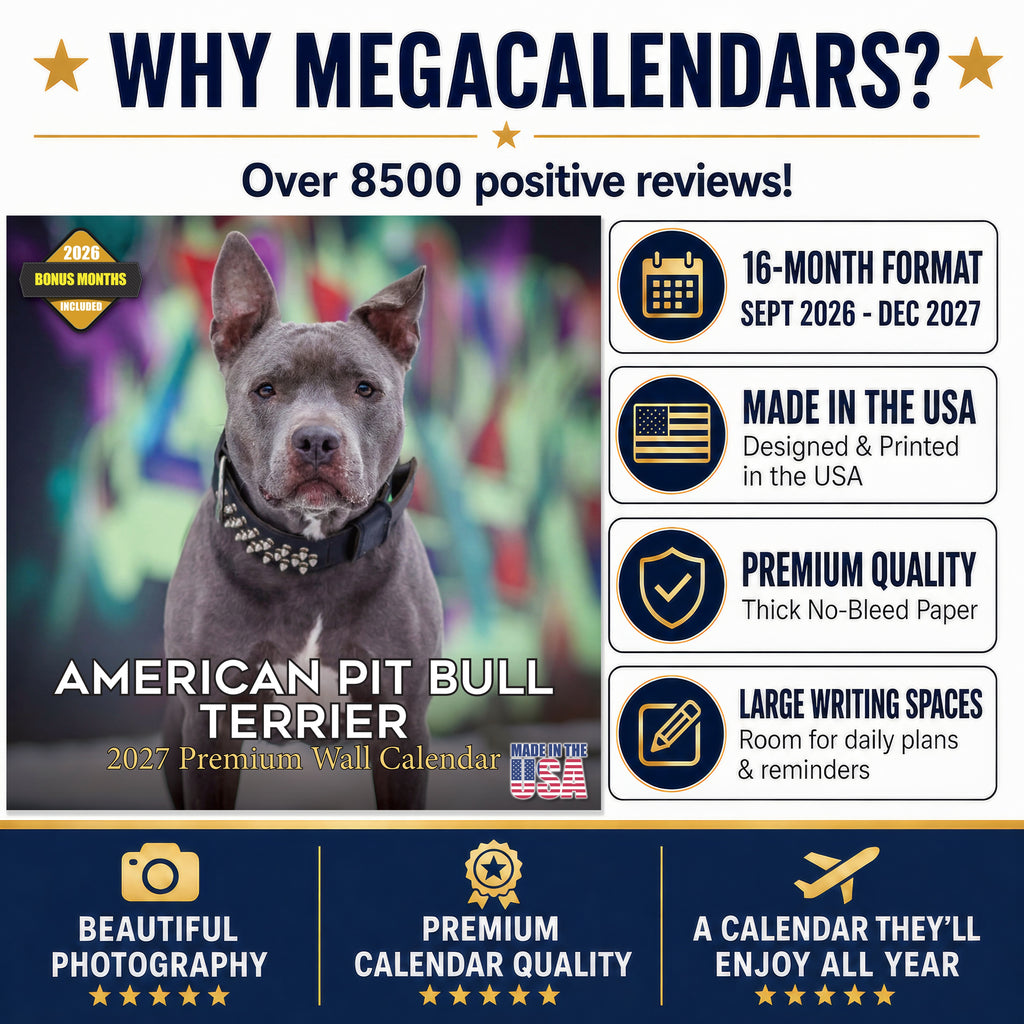American Pit Bull Terrier Wall Calendar 2027 - 12" x 12" Monthly Athletic & Devoted Pitbull Breed Calendar