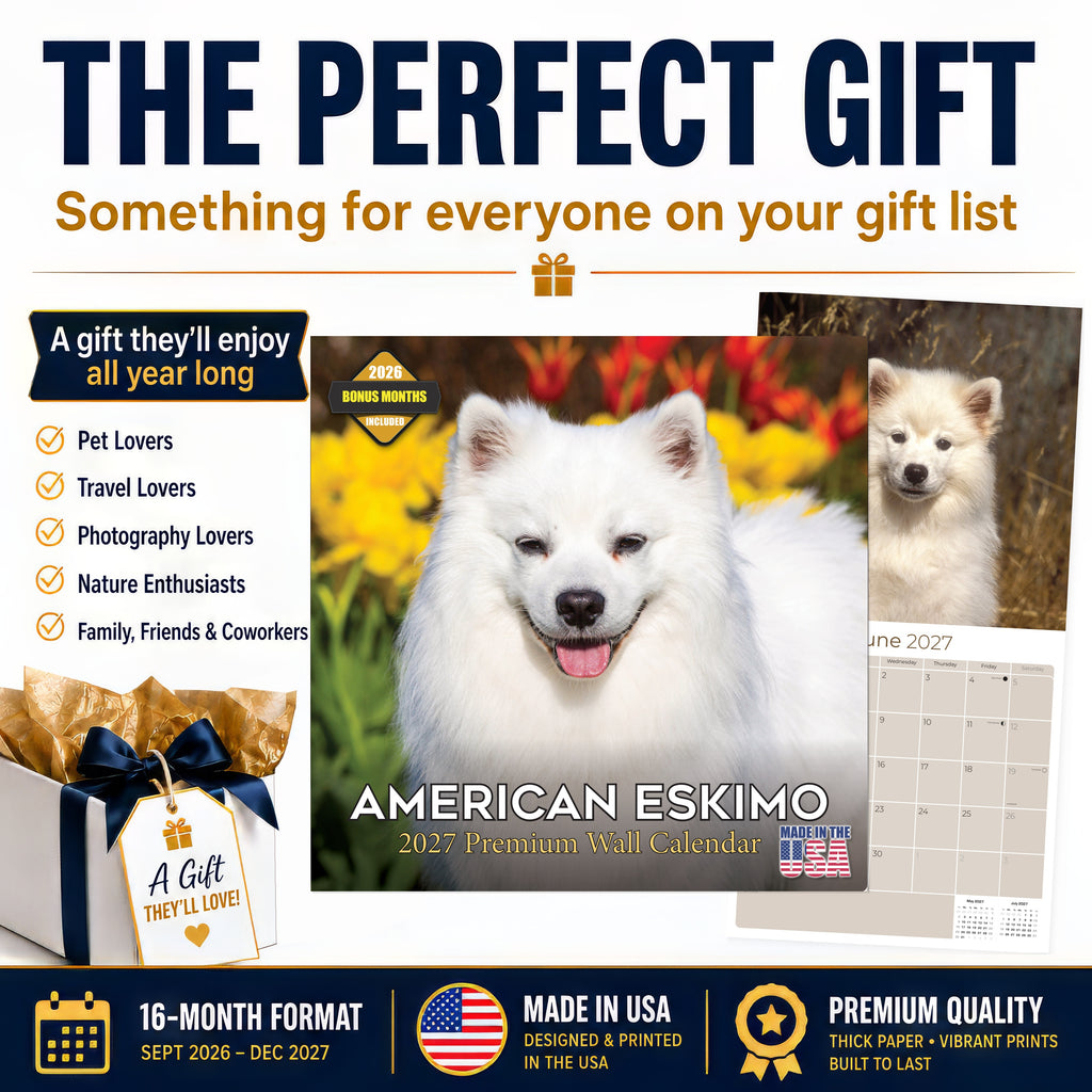 American Eskimo Dog Wall Calendar 2027 - 12" x 12" Monthly Spitz Breed & White Eskie Dog Calendar