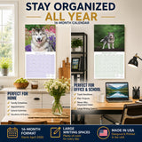 Alaskan Malamute Wall Calendar 2027 - 12" x 12" Monthly Arctic Sled Dog & Working Breed Calendar