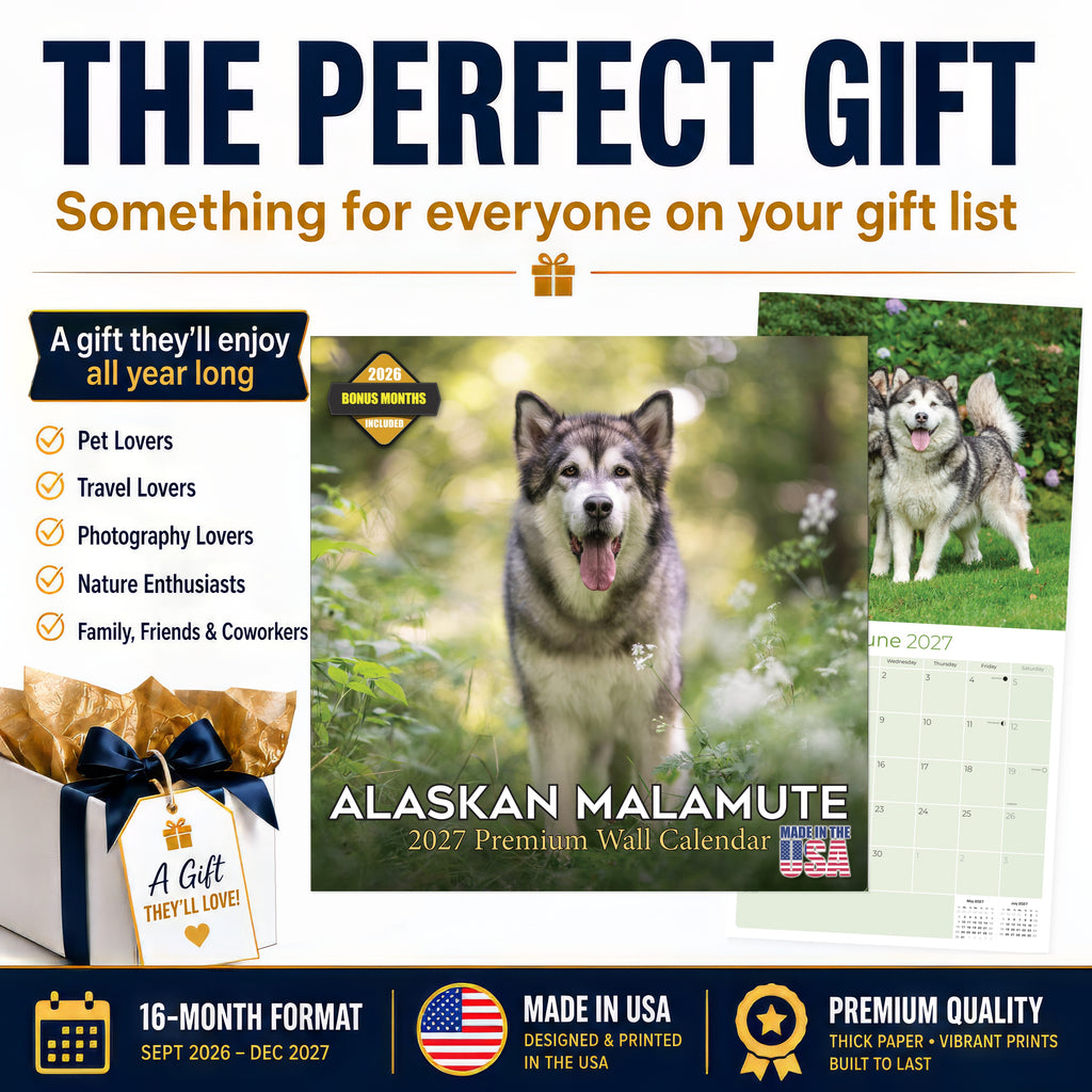 Alaskan Malamute Wall Calendar 2027 - 12" x 12" Monthly Arctic Sled Dog & Working Breed Calendar