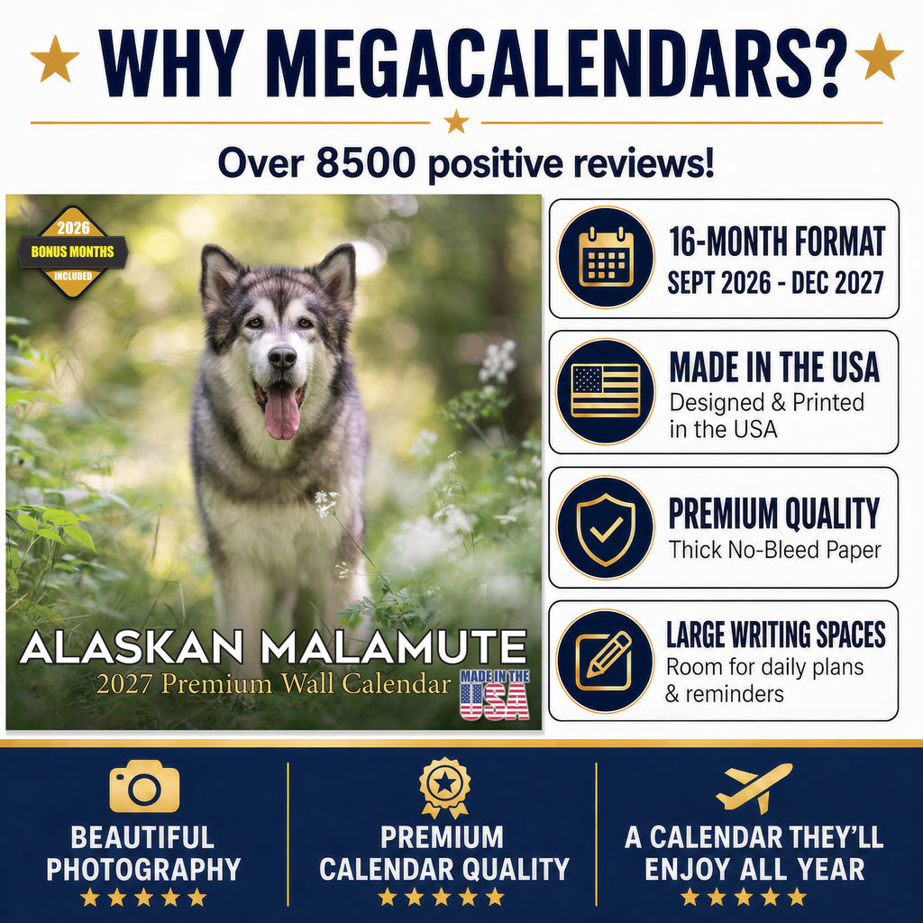 Alaskan Malamute Wall Calendar 2027 - 12" x 12" Monthly Arctic Sled Dog & Working Breed Calendar