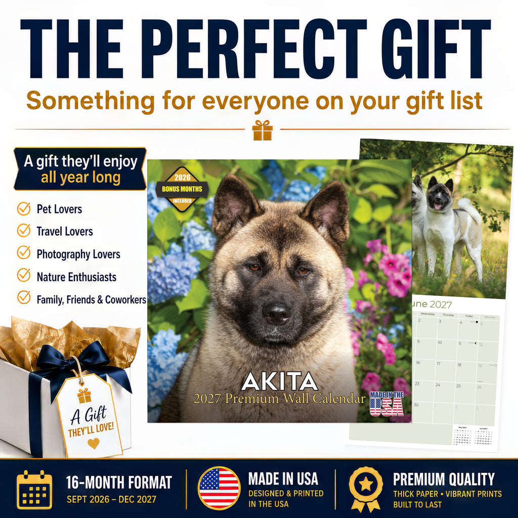 Akita Wall Calendar 2027 - 12" x 12" Monthly Japanese Guard Dog & Companion Breed Calendar