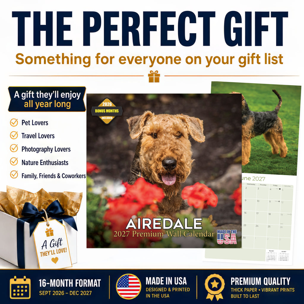Airedale Terrier Wall Calendar 2027 - 12" x 12" Monthly Terrier Breed & Working Dog Calendar