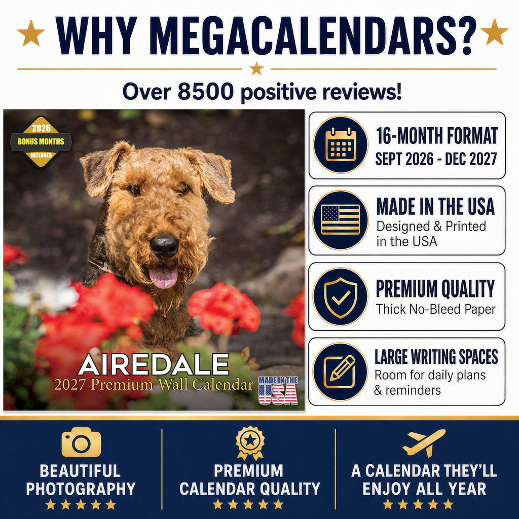 Airedale Terrier Wall Calendar 2027 - 12" x 12" Monthly Terrier Breed & Working Dog Calendar