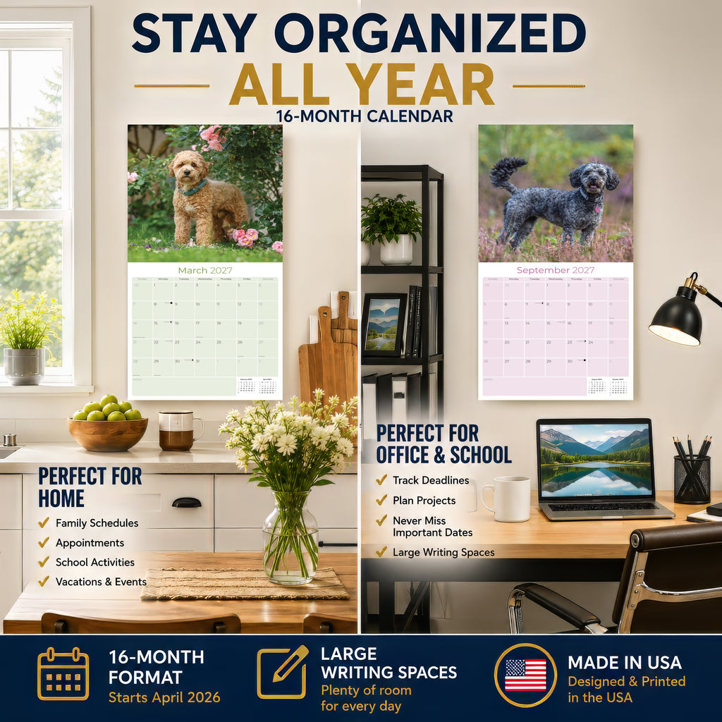 Cavapoo Wall Calendar 2027 - 12" x 12" Monthly Loving Intelligent Designer Cavoodle Calendar