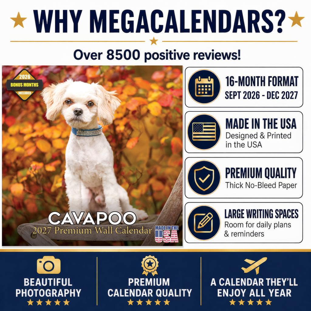 Cavapoo Wall Calendar 2027 - 12" x 12" Monthly Loving Intelligent Designer Cavoodle Calendar