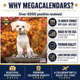 Cavapoo Wall Calendar 2027 - 12" x 12" Monthly Loving Intelligent Designer Cavoodle Calendar